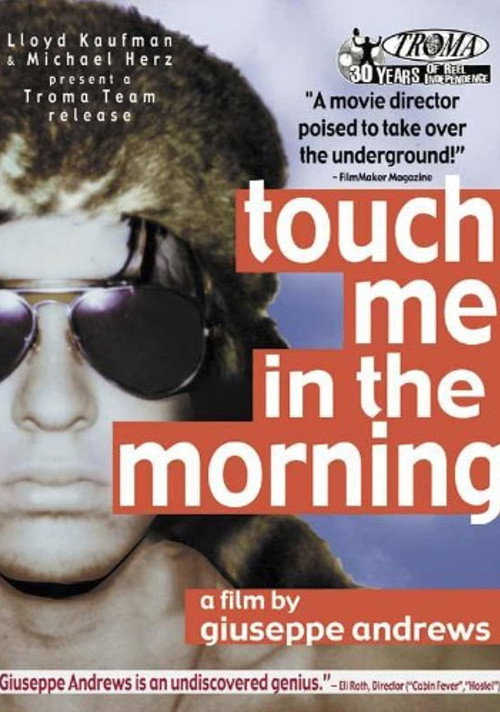 Movie poster for Touch Me in the Morning (1999)