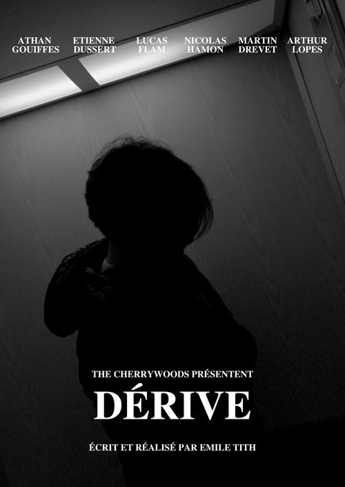 Movie poster for Dérive (2020)