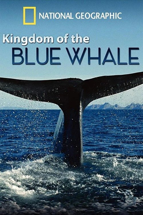 Movie poster for Kingdom of the Blue Whale (2009)