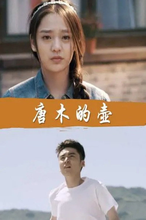 Movie poster for 唐木的壶 (2016)