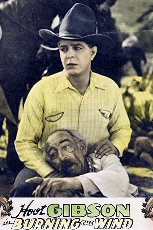 Movie poster for Burning the Wind (1929)