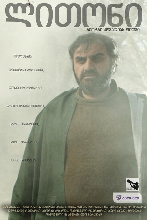 Movie poster for ლითონი (2012)