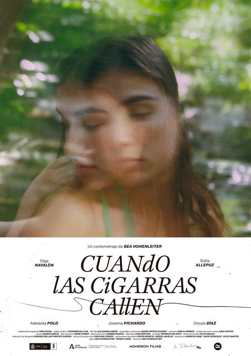Movie poster for When the cicades fall silent (2023)
