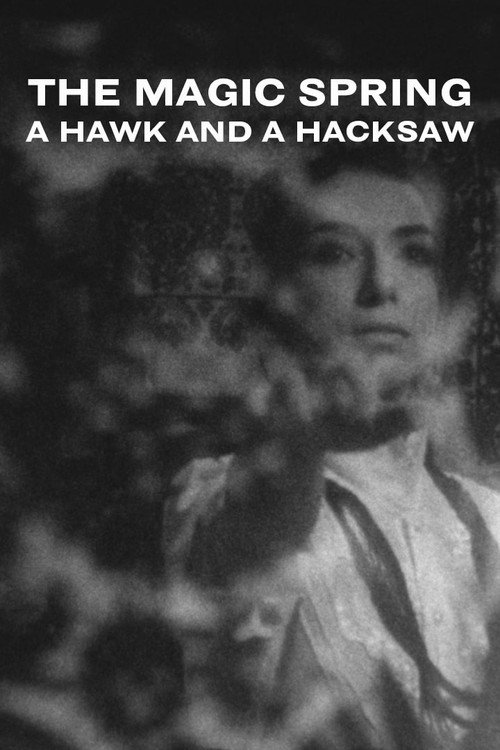 Movie poster for A Hawk and a Hacksaw - The Magic Spring (2018)