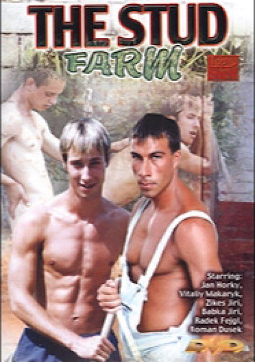Movie poster for The Stud Farm (2003)