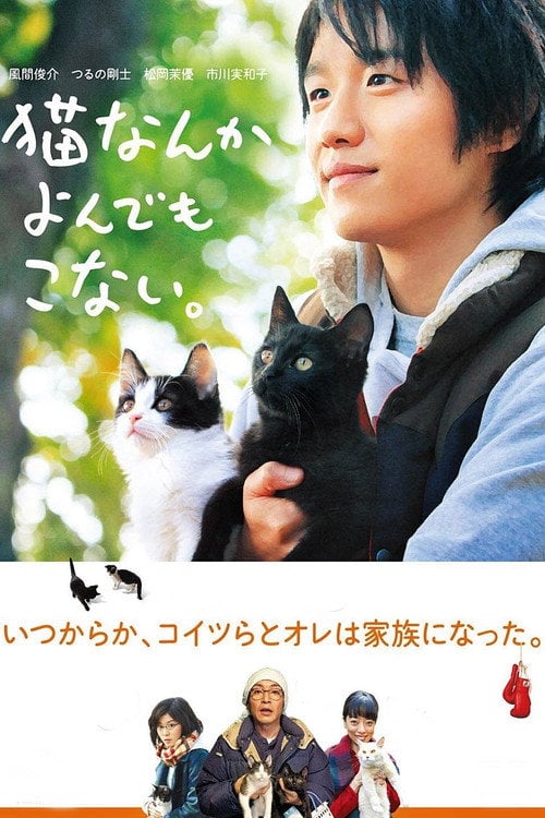 Movie poster for Cats Don't Come When You Call (2016)