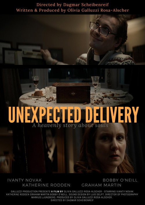 Movie poster for Unexpected Delivery