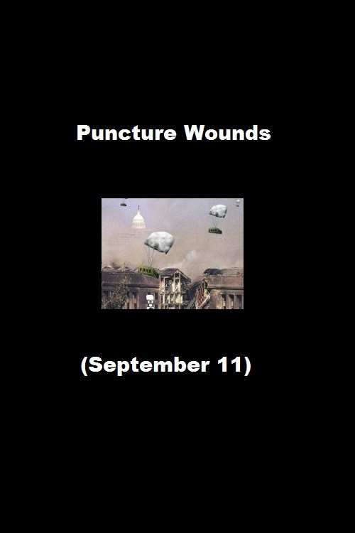 Movie poster for Puncture Wounds (September 11) (2008)