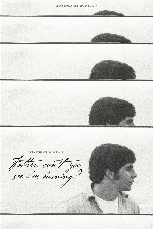 Movie poster for Father, Can't You See I'm Burning? (2021)