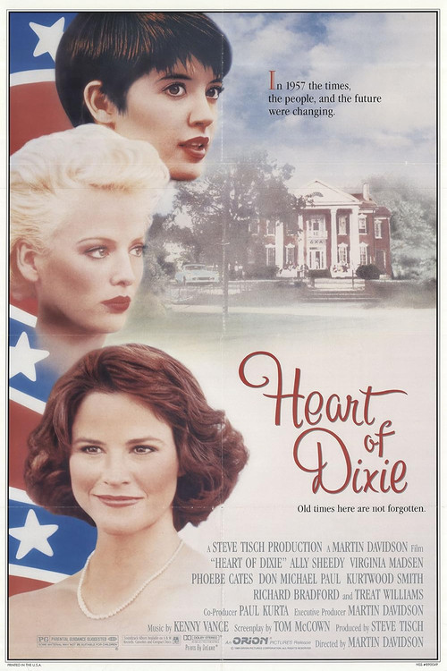 Heart of Dixie poster