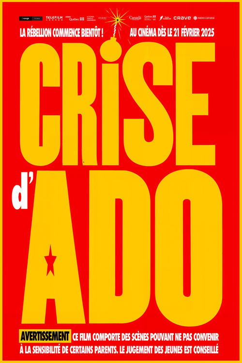 Movie poster for Crise d'ado (2025)
