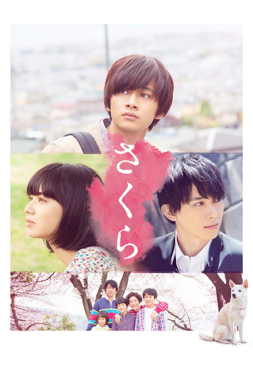Movie poster for Sakura (2020)