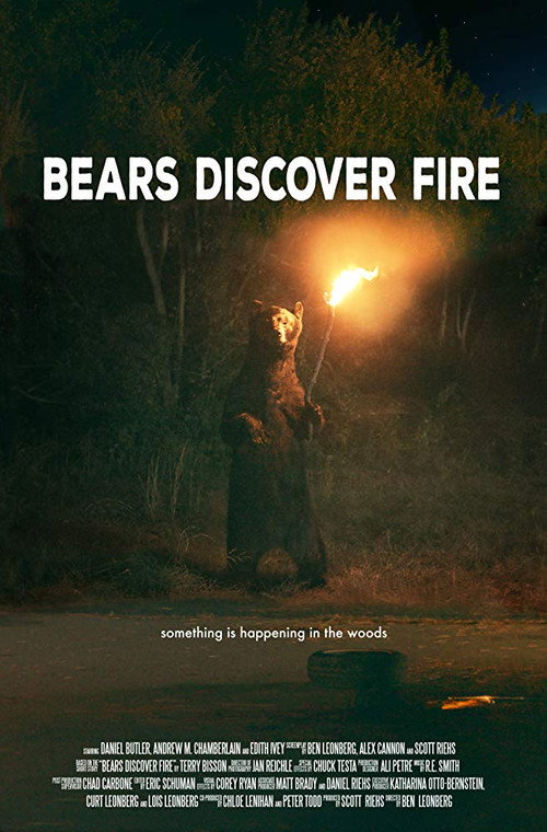 Movie poster for Bears Discover Fire (2015)