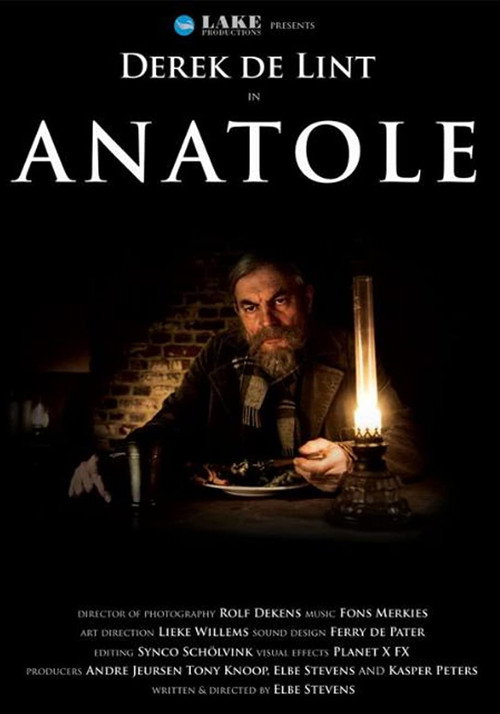 Movie poster for Anatole (2011)