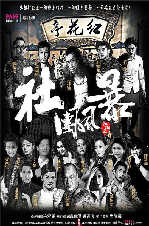 Movie poster for Community Storm (2017)
