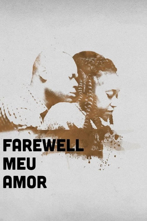 Movie poster for Farewell Meu Amor (2016)
