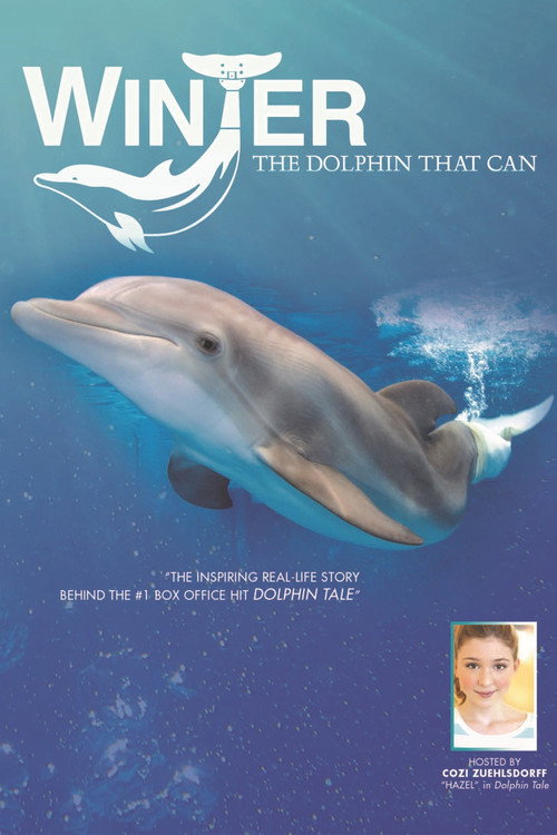 Movie poster for Winter, the Dolphin That Can (2013)