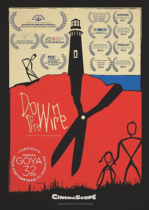 Movie poster for Down to the wire (2016)