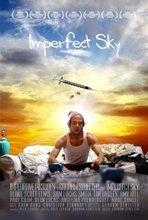 Movie poster for Imperfect Sky (2015)