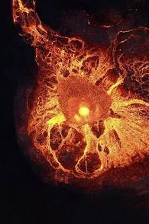 Movie poster for Earendel (2024)