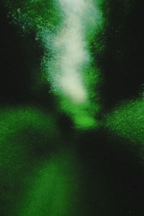 Movie poster for Brouillard #12 (2013)