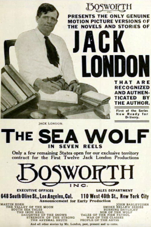 Movie poster for The Sea Wolf (1913)