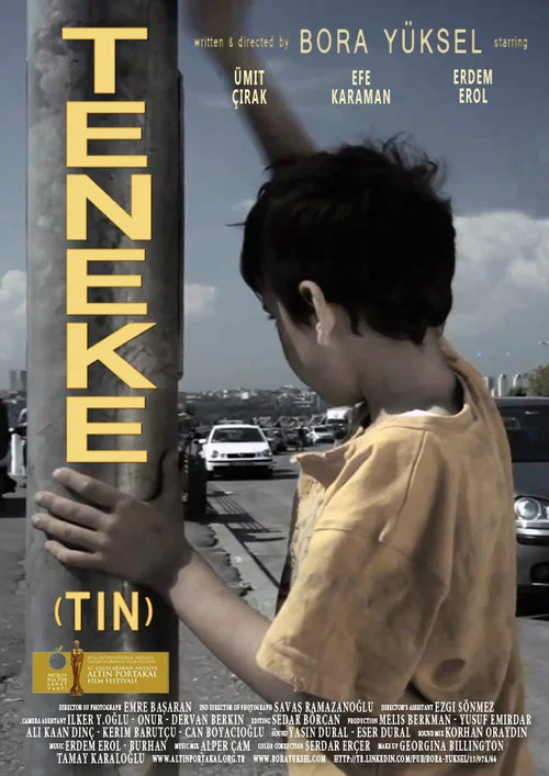 Movie poster for Tin (2010)
