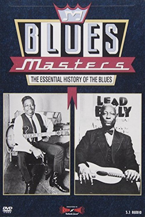 Movie poster for Blues Masters - The Essential History of the Blues (1993)