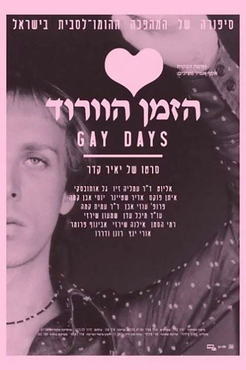 Movie poster for Gay Days (2009)