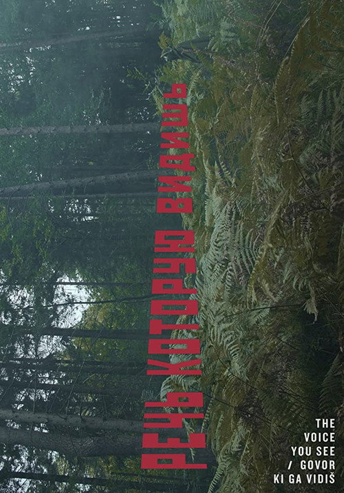 Movie poster for The Voice You See (2019)