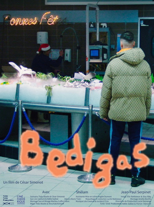 Movie poster for Bedigas (2024)