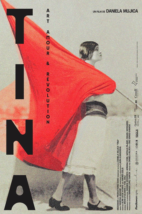 Movie poster for Tina, Photographer And Revolutionary