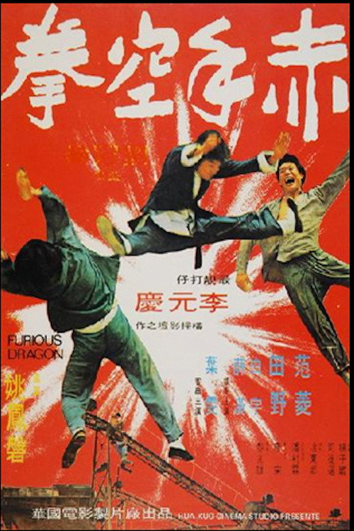 Movie poster for Furious Dragon (1973)