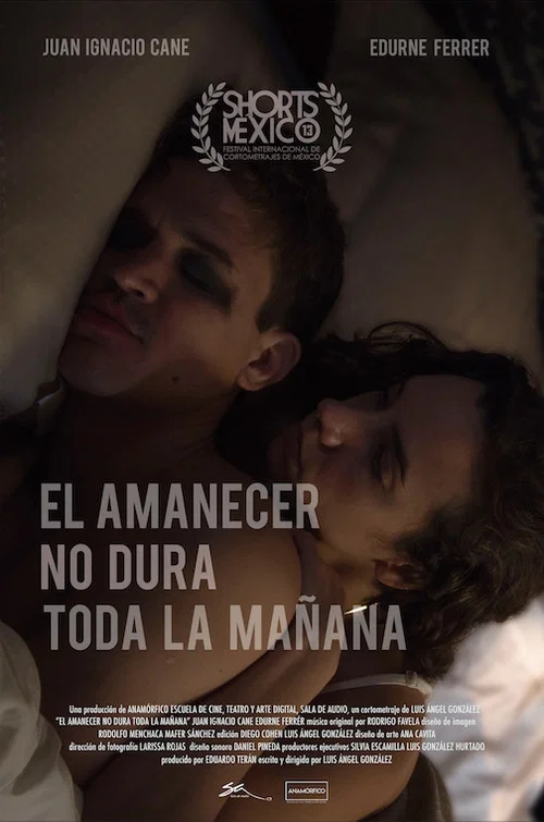 Movie poster for El Amanecer No Dura Toda La Mañana (2018)