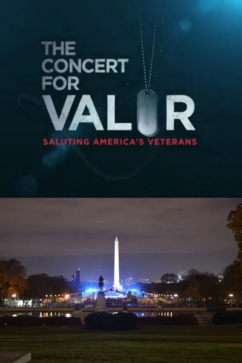 Movie poster for The Concert for Valor (2014)
