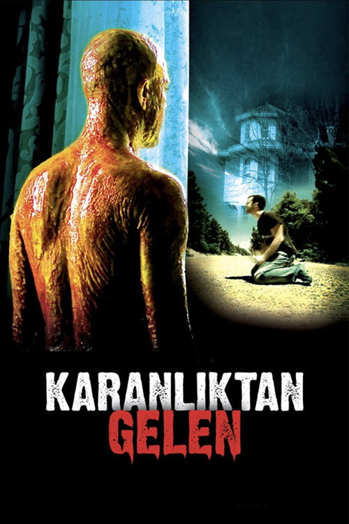 Movie poster for From The Darkness (2007)