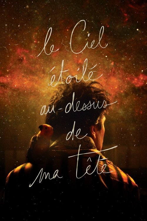 Movie poster for The Starry Sky Above Me (2018)