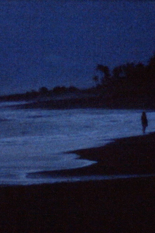 Movie poster for A conversation with the ocean (2021)