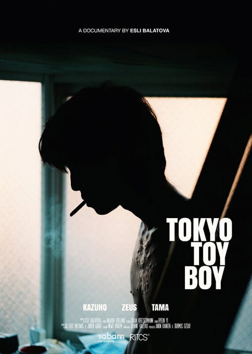 Movie poster for Tokyo Toy Boy (2025)