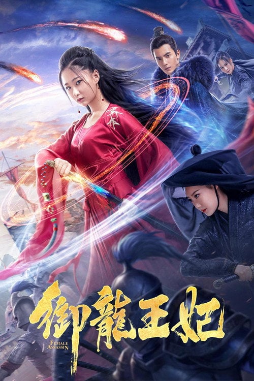 Movie poster for Female Assassin (2019)