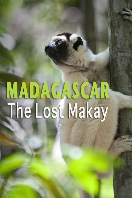 Movie poster for Madagascar: The Lost Makay (2011)