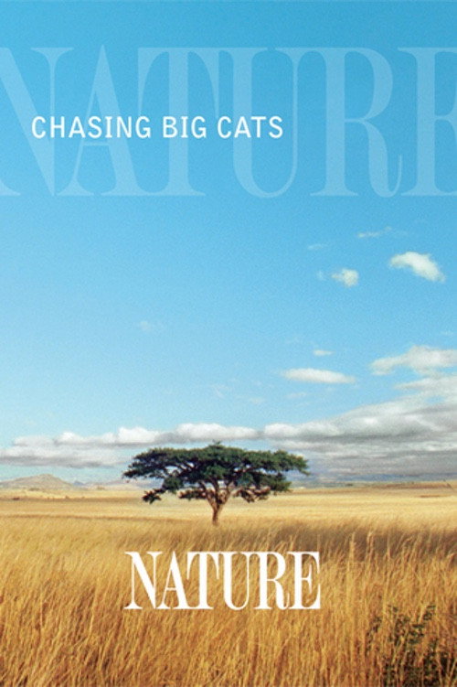 Movie poster for Chasing Big Cats (2004)