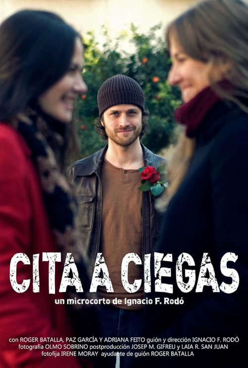 Movie poster for Cita A Ciegas (2012)