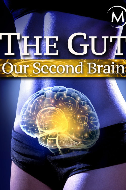 Movie poster for The Gut: Our Second Brain (2014)