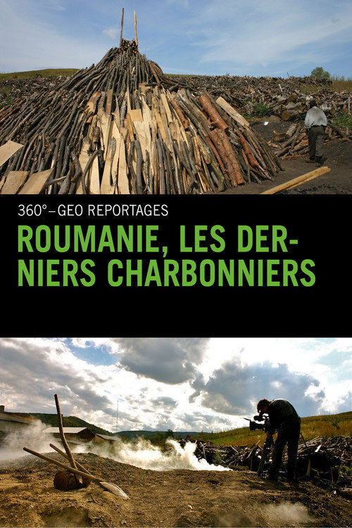 Movie poster for Roumanie, les derniers charbonniers (2013)