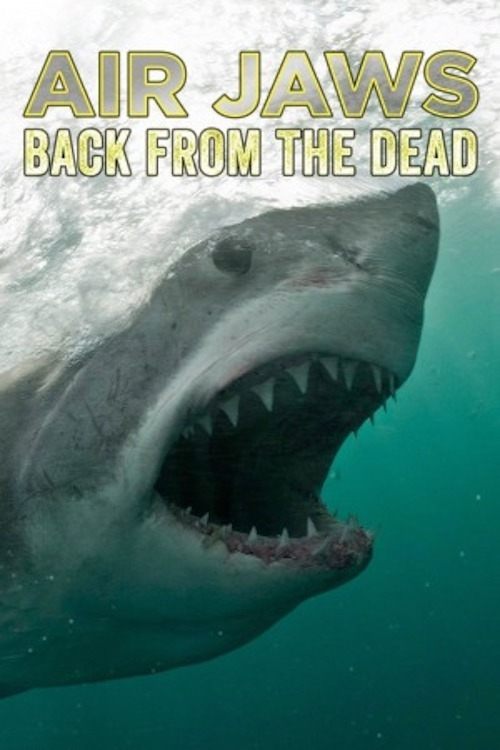 Movie poster for Air Jaws: Back From The Dead (2018)