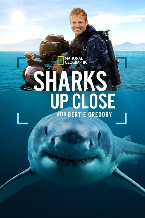Movie poster for Sharks Up Close with Bertie Gregory (2025)