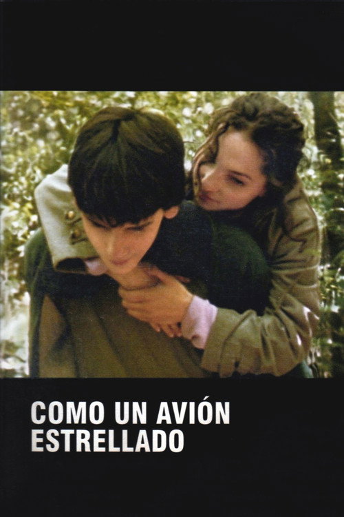 Movie poster for Como un avión estrellado (2005)