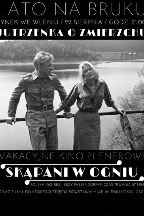 Movie poster for Skąpani w ogniu (1963)