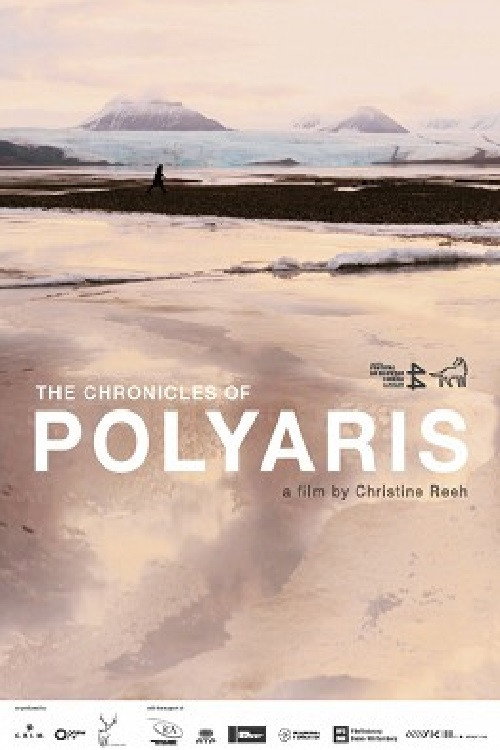 Movie poster for The Chronicles of Polyaris (2014)